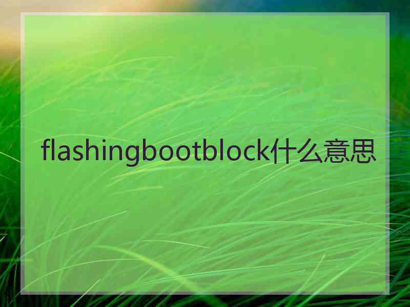 flashingbootblock什么意思