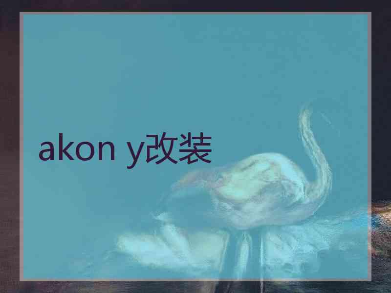 akon y改装