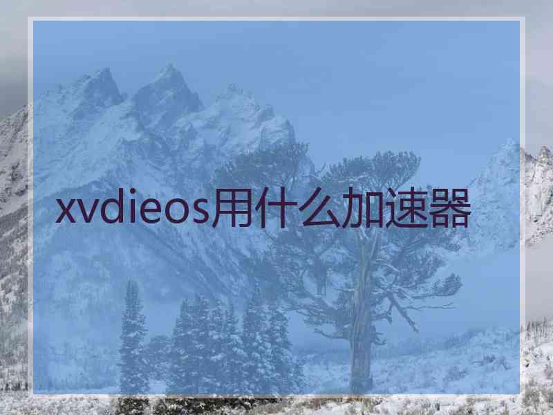 xvdieos用什么加速器