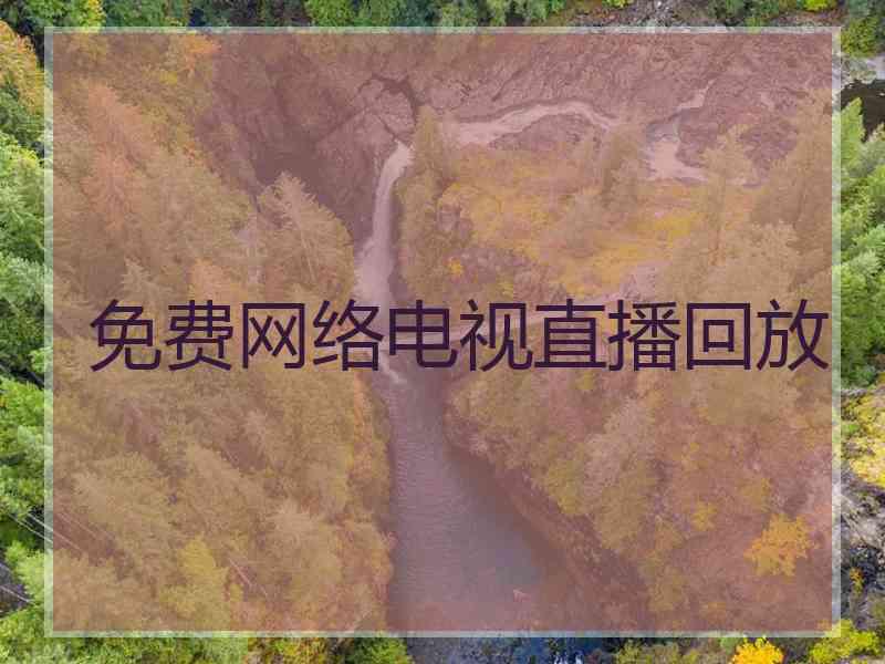 免费网络电视直播回放