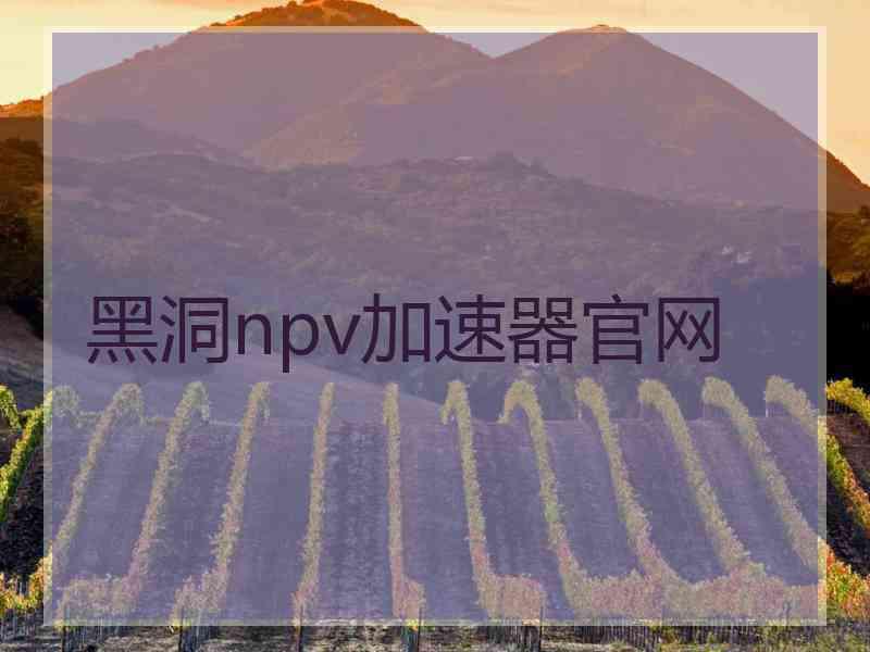 黑洞npv加速器官网