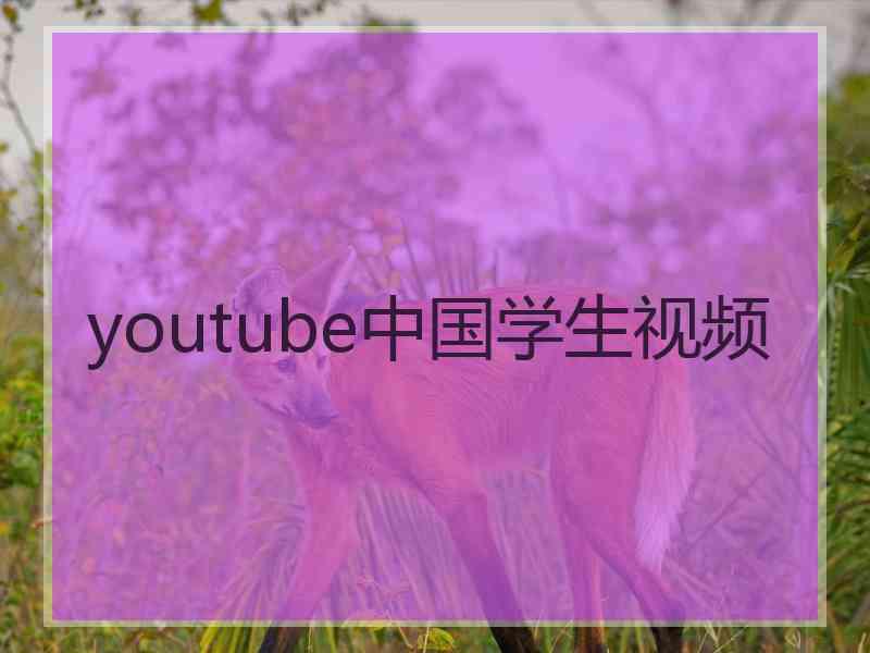 youtube中国学生视频