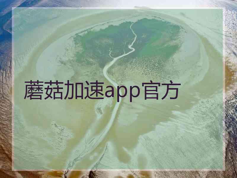 蘑菇加速app官方