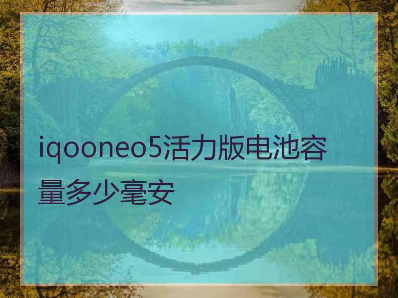 iqooneo5活力版电池容量多少毫安