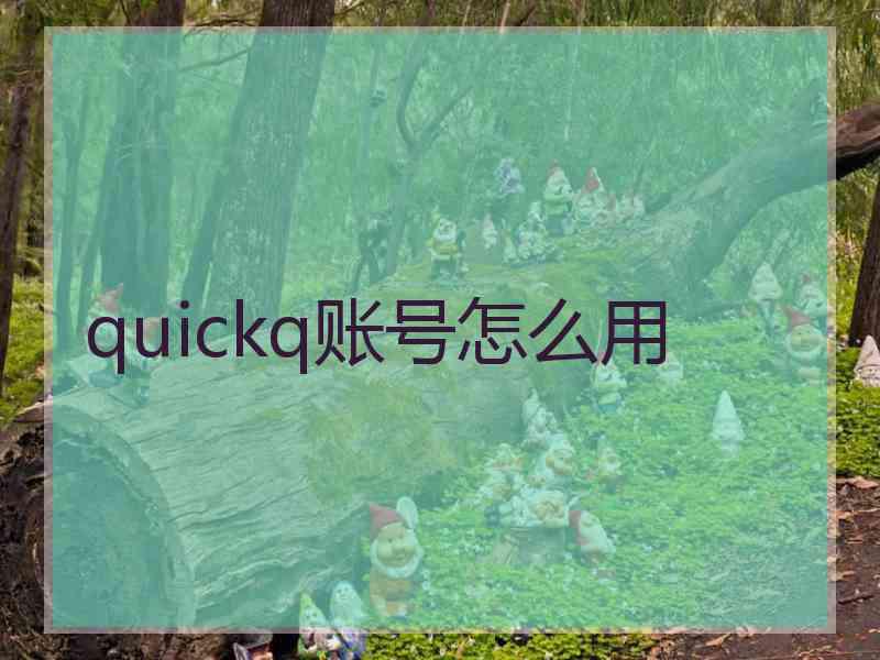 quickq账号怎么用