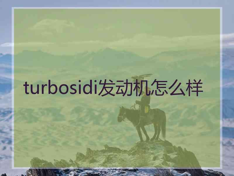 turbosidi发动机怎么样