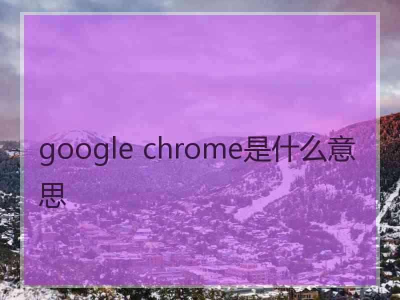 google chrome是什么意思