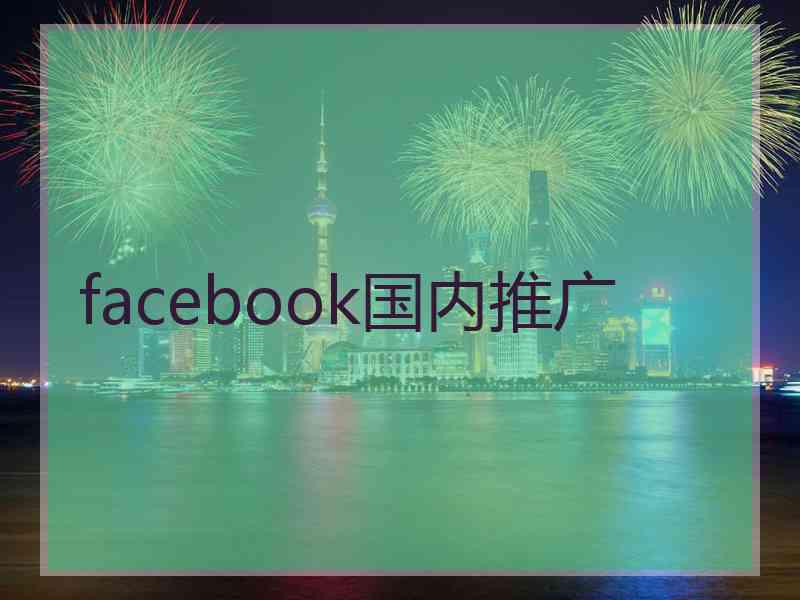 facebook国内推广