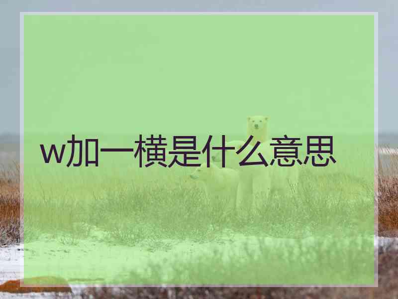 w加一横是什么意思