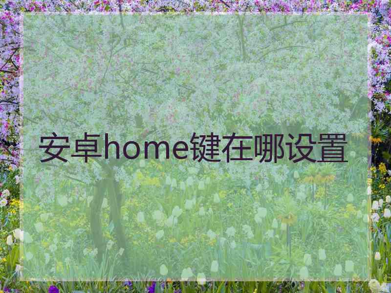 安卓home键在哪设置