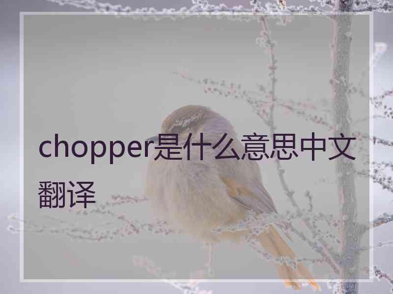 chopper是什么意思中文翻译