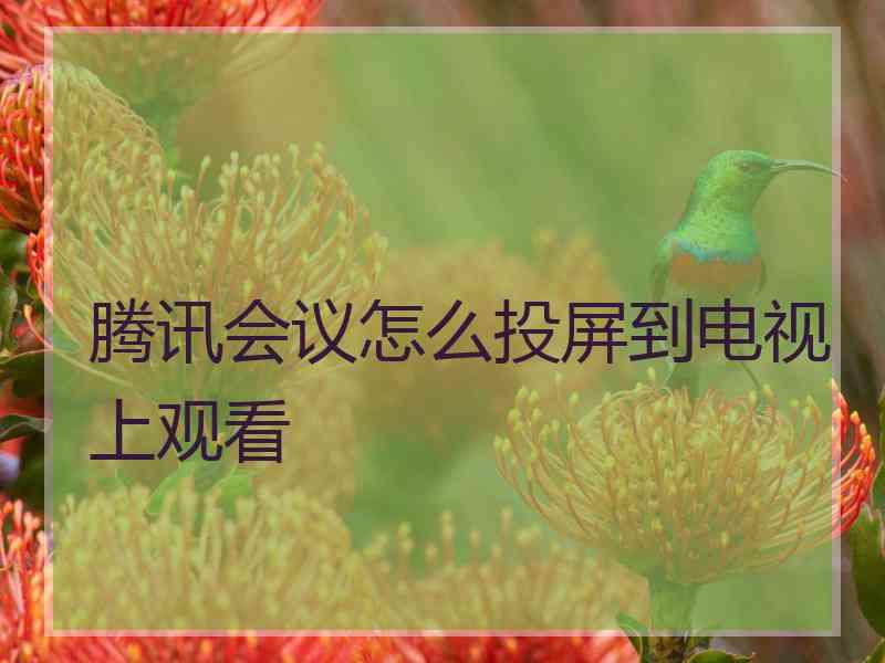 腾讯会议怎么投屏到电视上观看