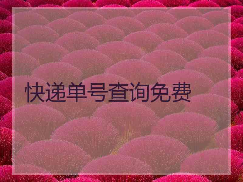 快递单号查询免费