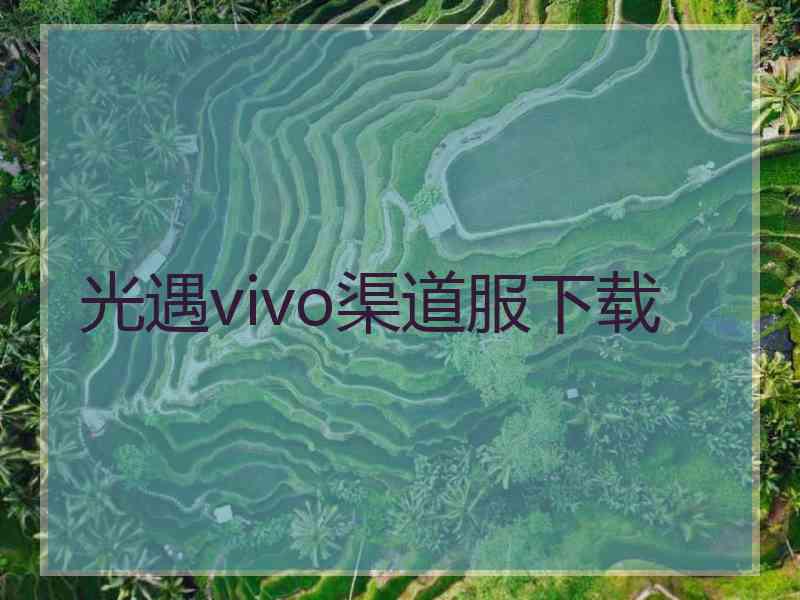 光遇vivo渠道服下载