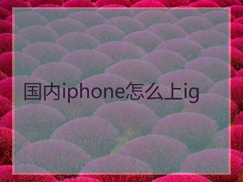 国内iphone怎么上ig