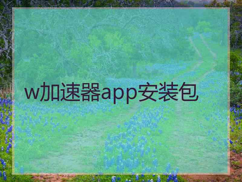 w加速器app安装包