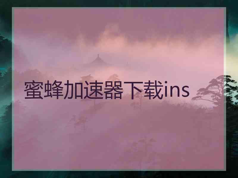 蜜蜂加速器下载ins