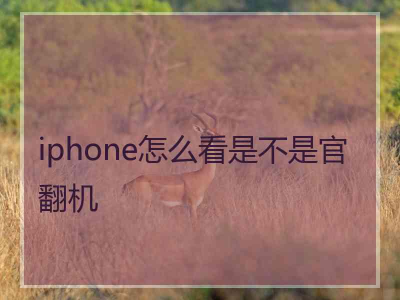 iphone怎么看是不是官翻机