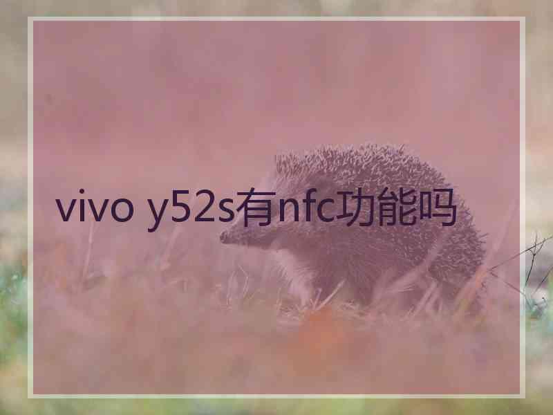 vivo y52s有nfc功能吗