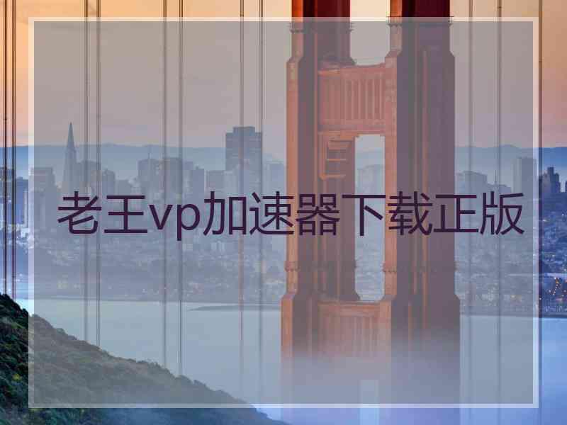 老王vp加速器下载正版