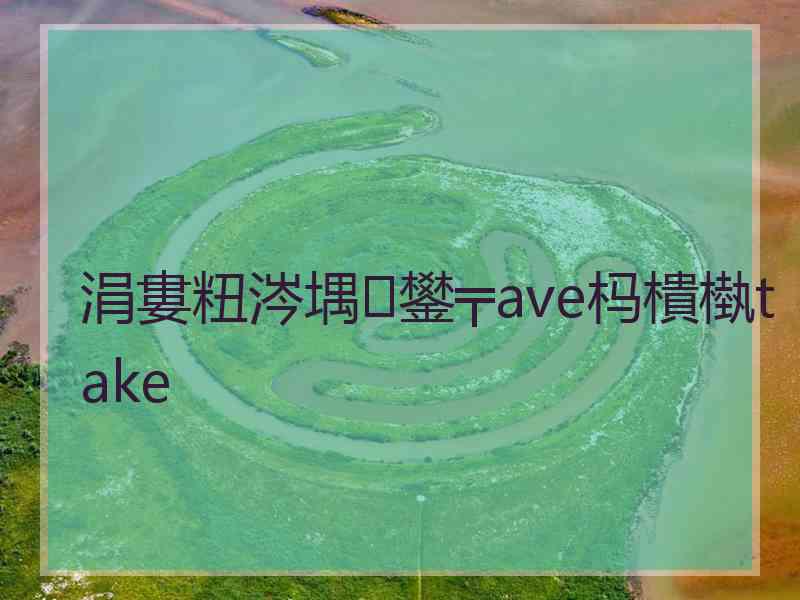 涓婁粈涔堣鐢╤ave杩樻槸take