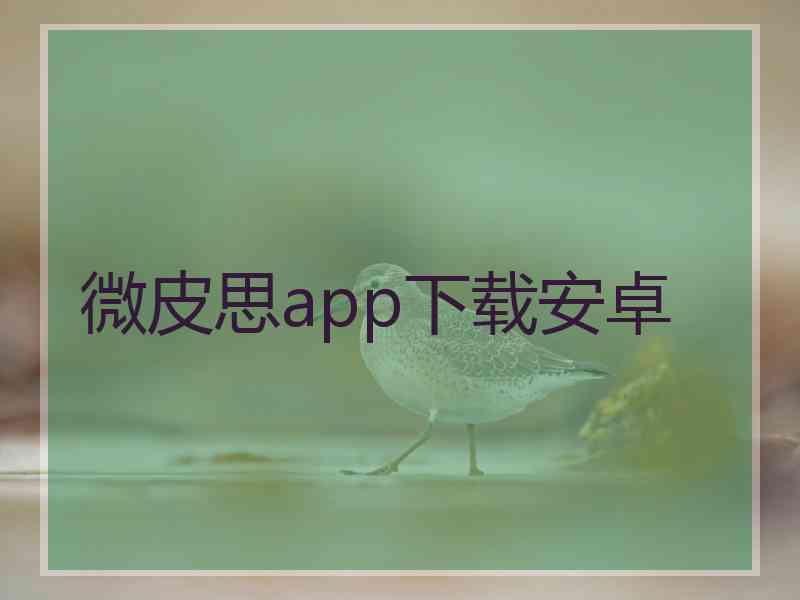 微皮思app下载安卓