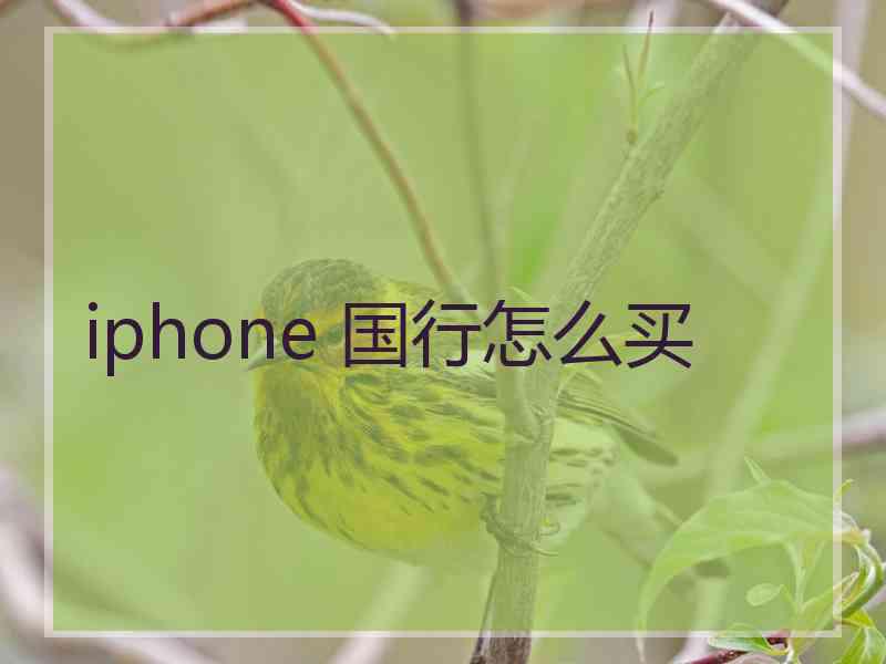 iphone 国行怎么买