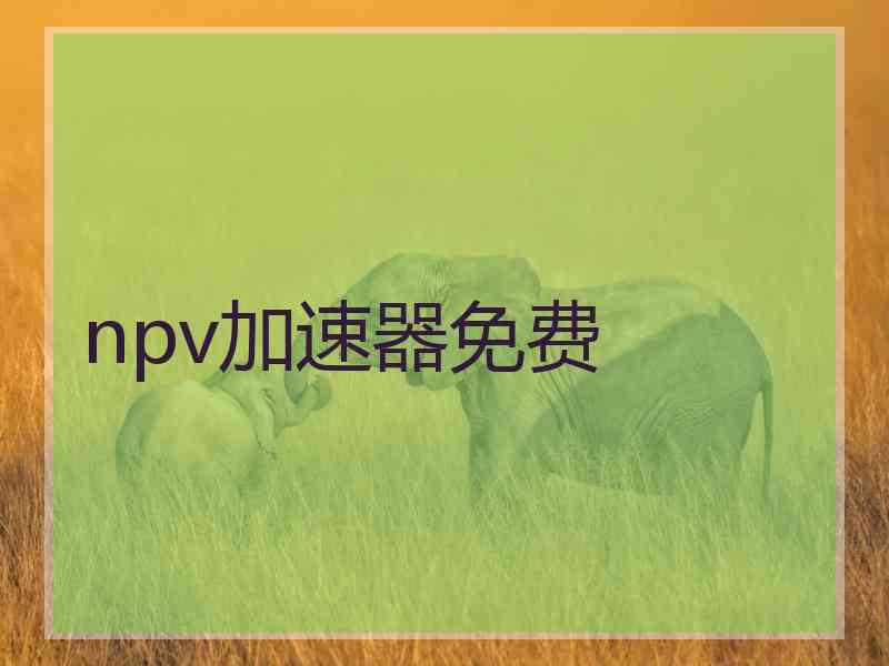 npv加速器免费