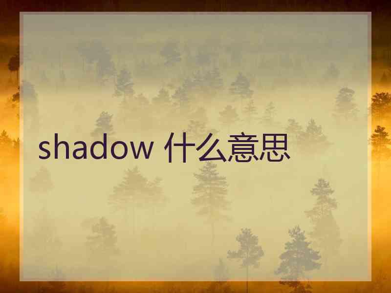 shadow 什么意思