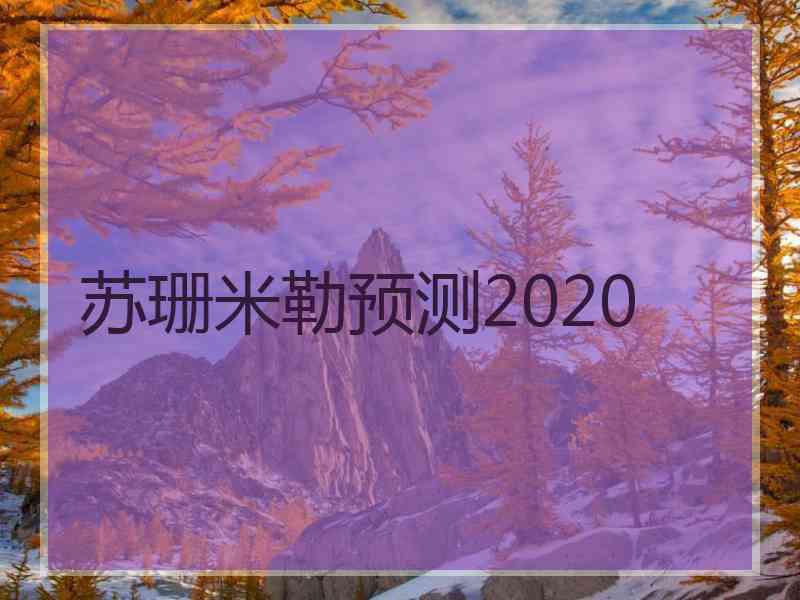 苏珊米勒预测2020