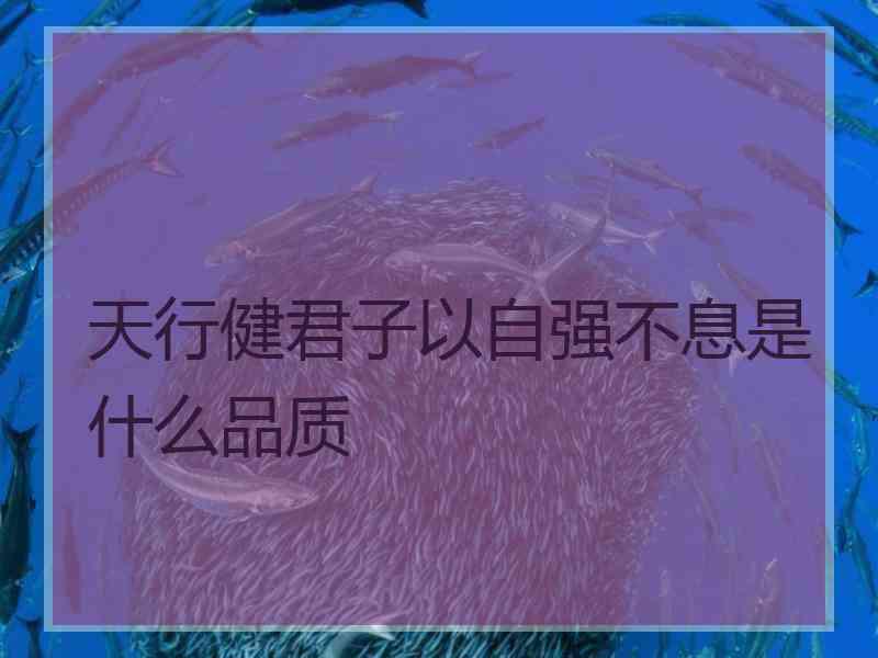 天行健君子以自强不息是什么品质