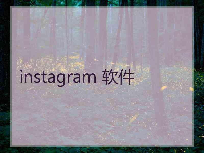 instagram 软件