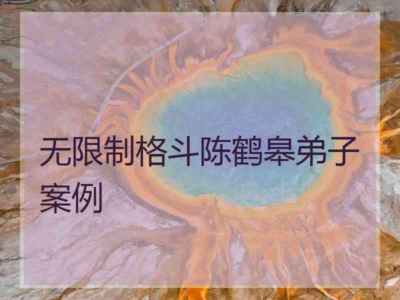 无限制格斗陈鹤皋弟子案例