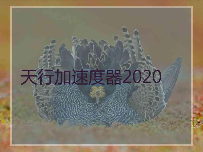 天行加速度器2020