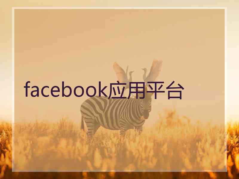 facebook应用平台