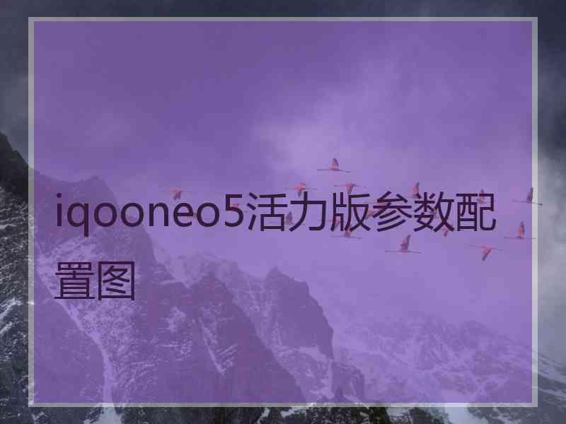 iqooneo5活力版参数配置图