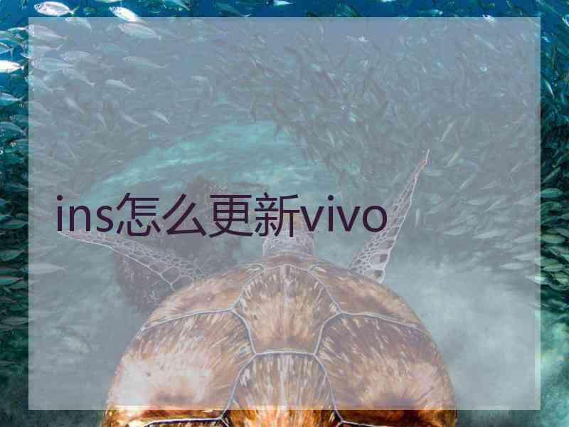 ins怎么更新vivo