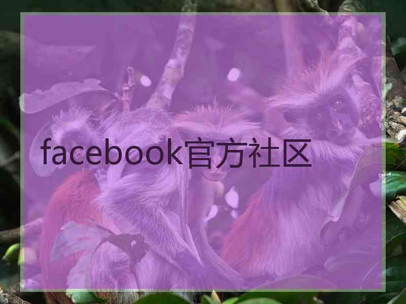 facebook官方社区