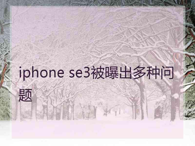 iphone se3被曝出多种问题