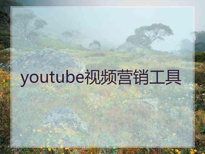 youtube视频营销工具