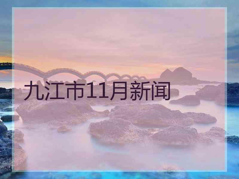 九江市11月新闻