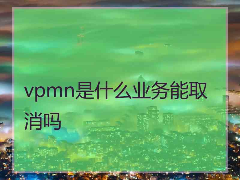 vpmn是什么业务能取消吗