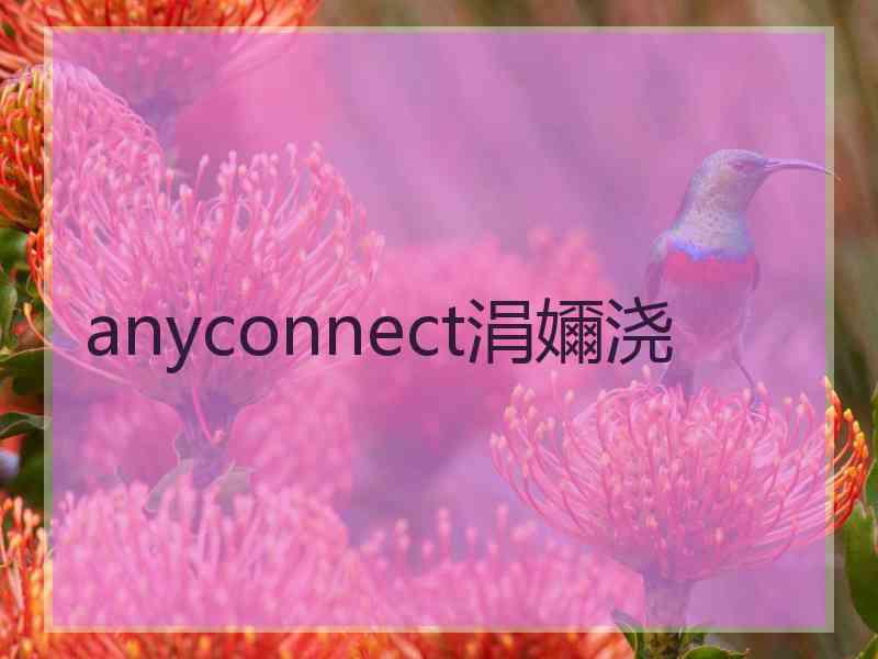 anyconnect涓嬭浇