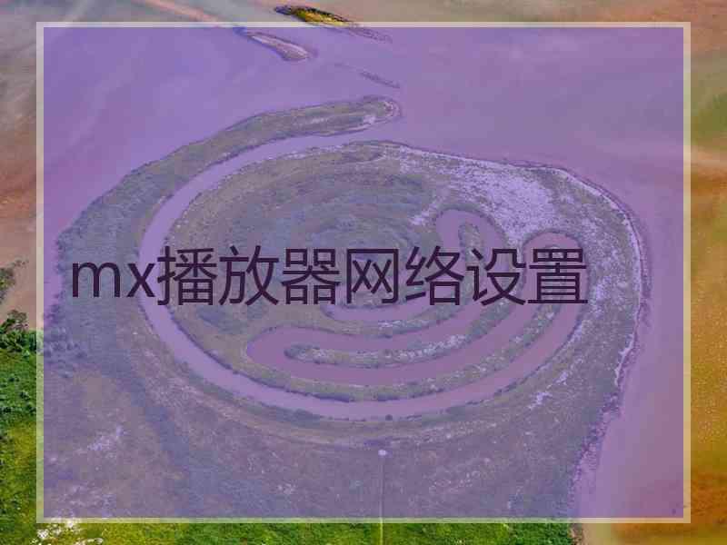 mx播放器网络设置