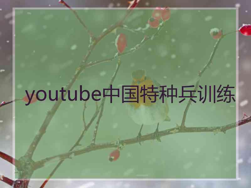 youtube中国特种兵训练