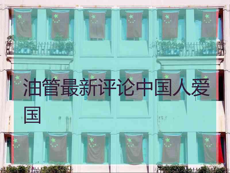 油管最新评论中国人爱国