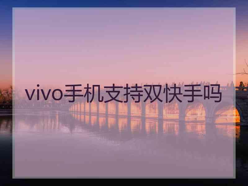 vivo手机支持双快手吗