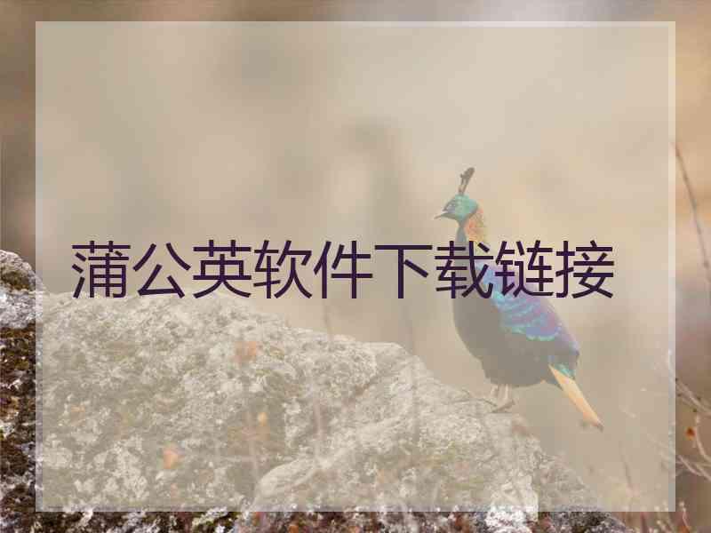 蒲公英软件下载链接