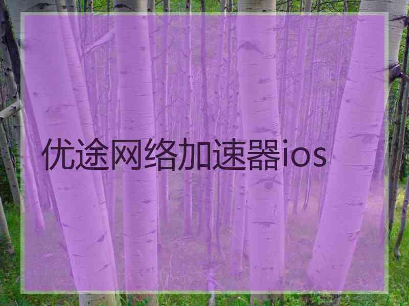 优途网络加速器ios