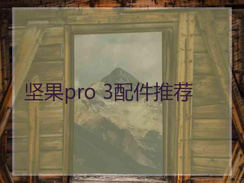 坚果pro 3配件推荐